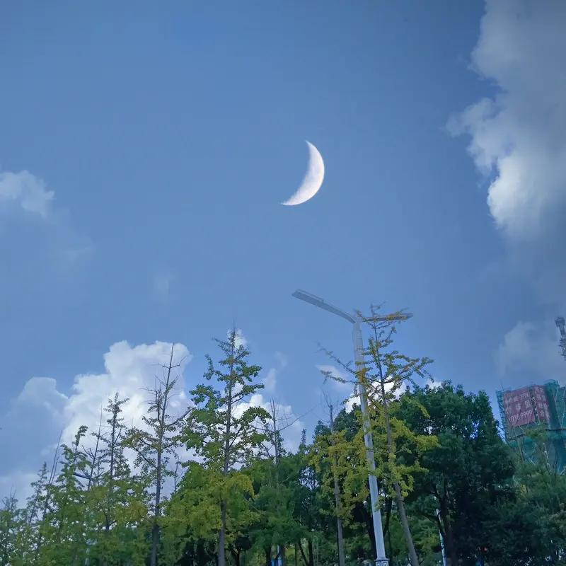 微小说‖《梦境逃亡》阿明从噩梦中猛然惊醒，冷汗浸湿了睡衣。梦里，一只巨大的怪物