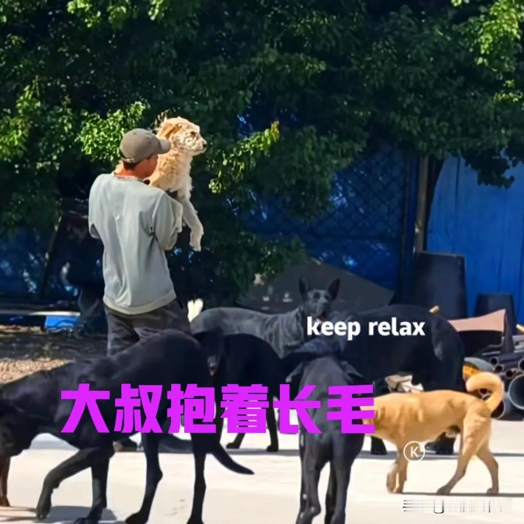 狗王长毛自从火了以后，受到了太多外界的叨扰。很多外地人打着采访胡子大叔的名义，却