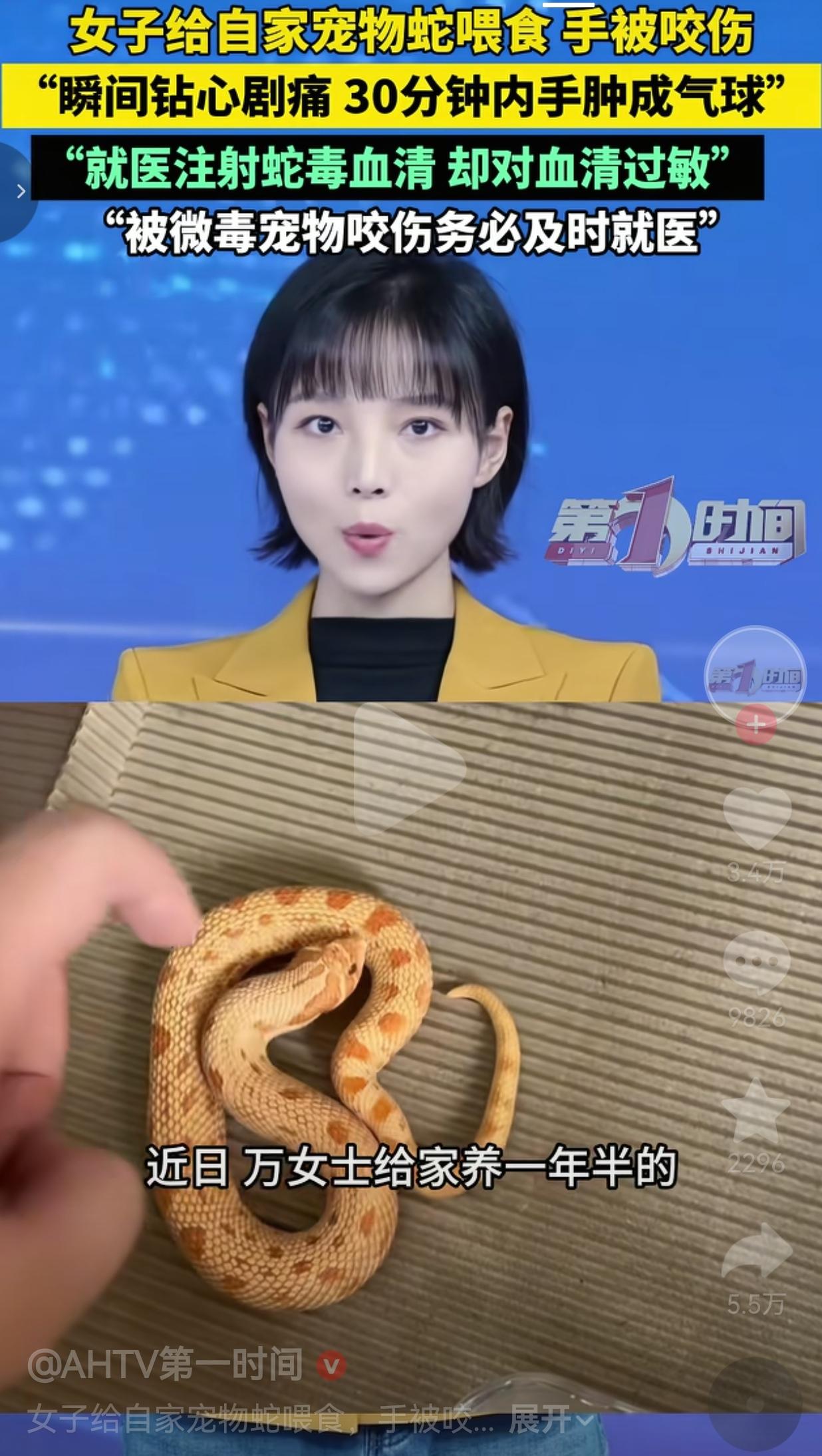 养了一年多的宠物蛇，咬了主人一口，差点把命都咬没了！真的看完一身冷汗，现在