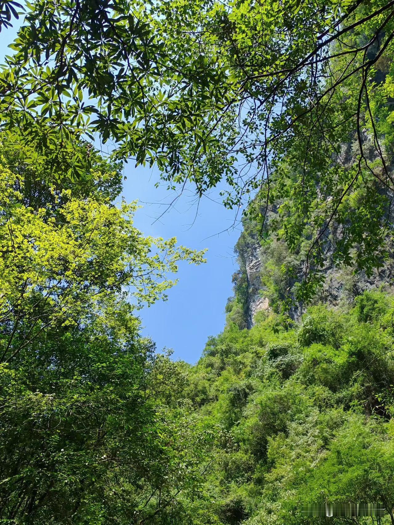 别不信这是真的从现在开始你会越来越顺，想啥来啥，干啥成啥遇到的都是好人