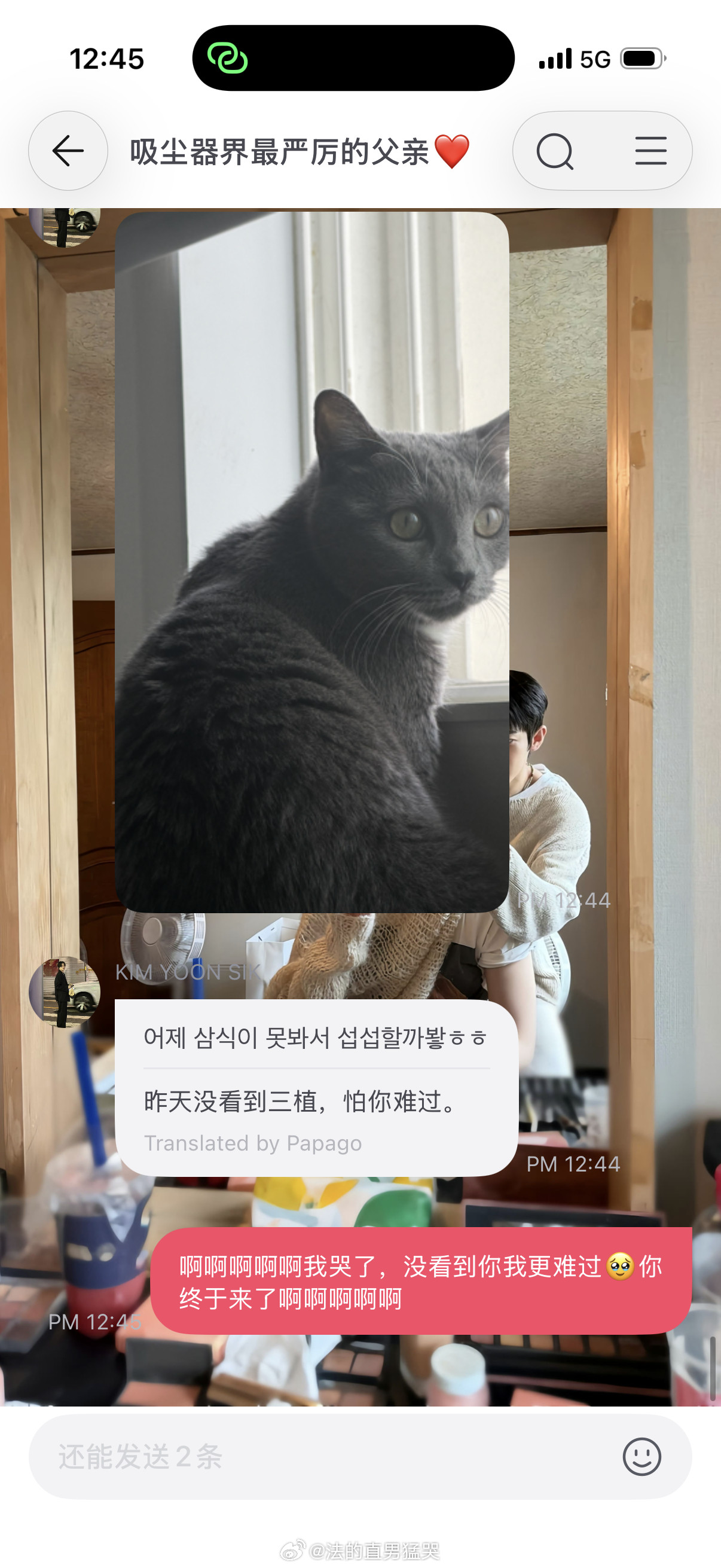 你tm终于出现了...呜呜呜呜