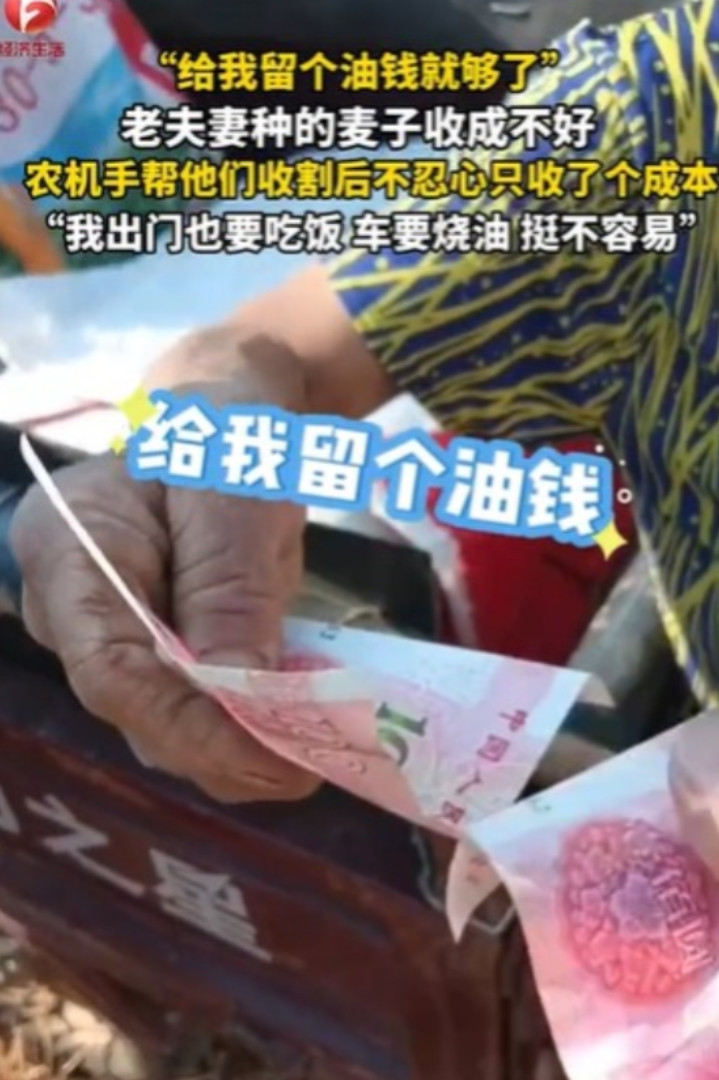 “泪目了！”河南，一对年迈的老夫妻找人收割麦子，干完活一看，收成太惨，连200斤