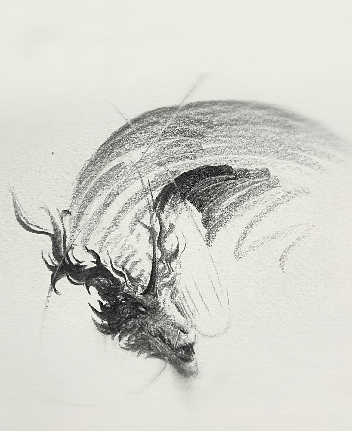 苦练几年，只为这几笔！！