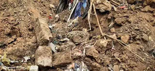 厦门翔安机场工地突现两条巨蟒!一条重达百斤