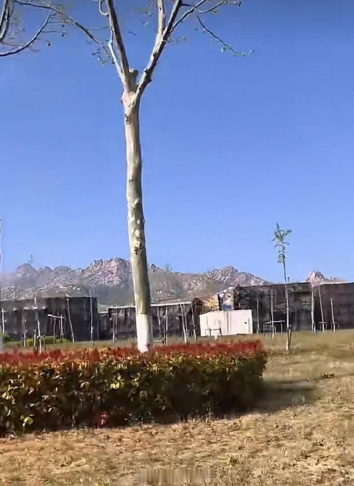 肖战《十日终焉》剧组这个防代拍都手段太牛了严丝合缝一点看不到