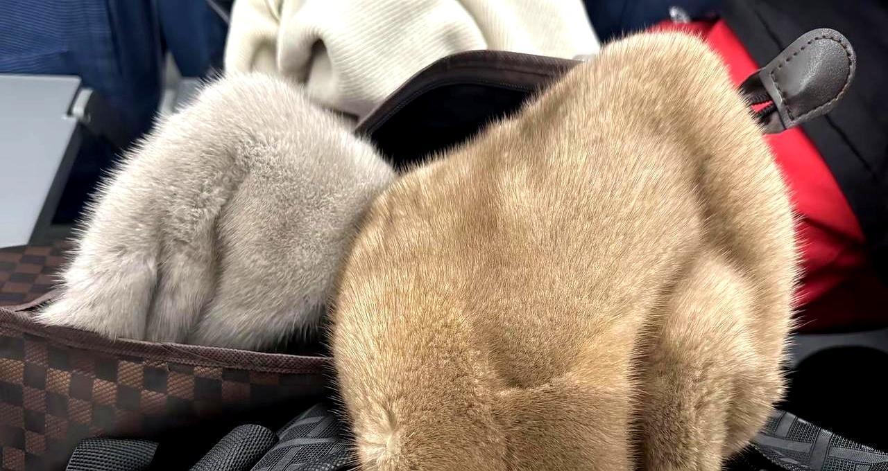 海宁快挤爆了，聪明女人不买包，开始抢这2种“软黄金”。你是不是也觉得，花几