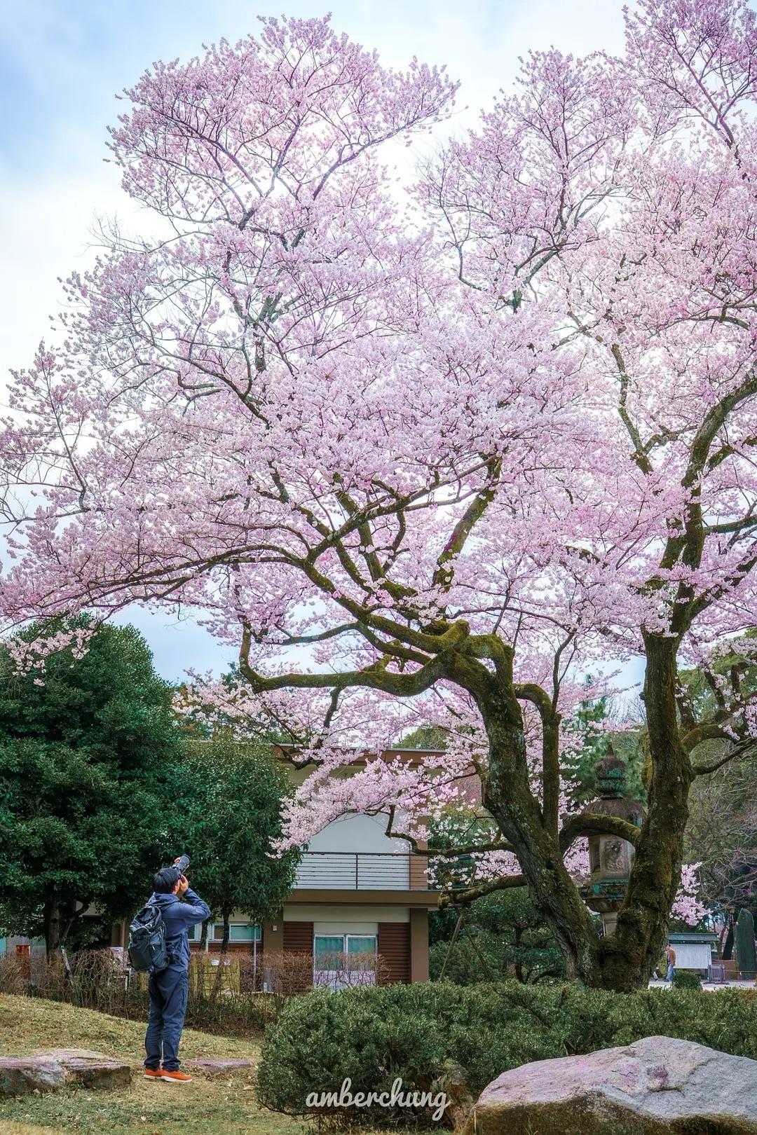 永不贬值的15大资产：1、高学历（无形资产）2、健康的身体（无价之宝）3