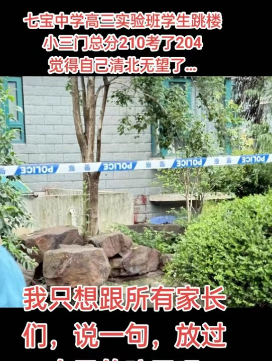 刷到一个对七宝中学跳楼那个孩子心理解读，觉得蛮靠谱的。已经拿到清华强基计划的入门