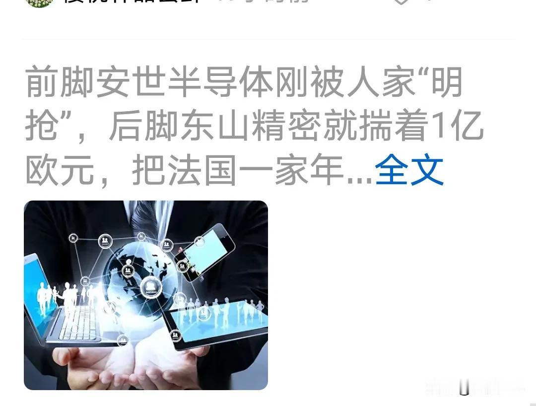 东山精密应该明白，不能再走安世半导体的老路了，花一亿欧的收购的法国企业，该尽快的