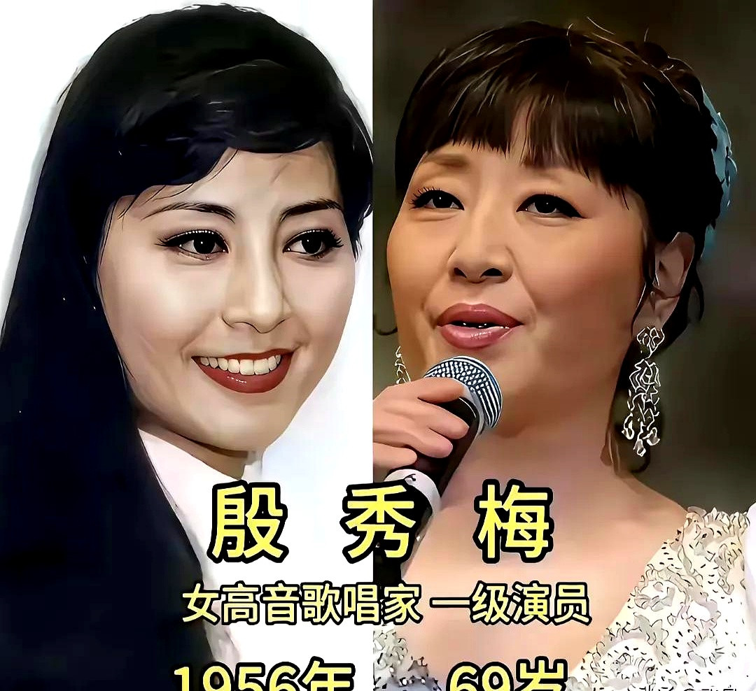 看到李双江、刘欢、毛阿敏这帮老歌唱家的近照，满头白发，满脸褶子，才突然意识到，陪着咱们大半辈子的那批