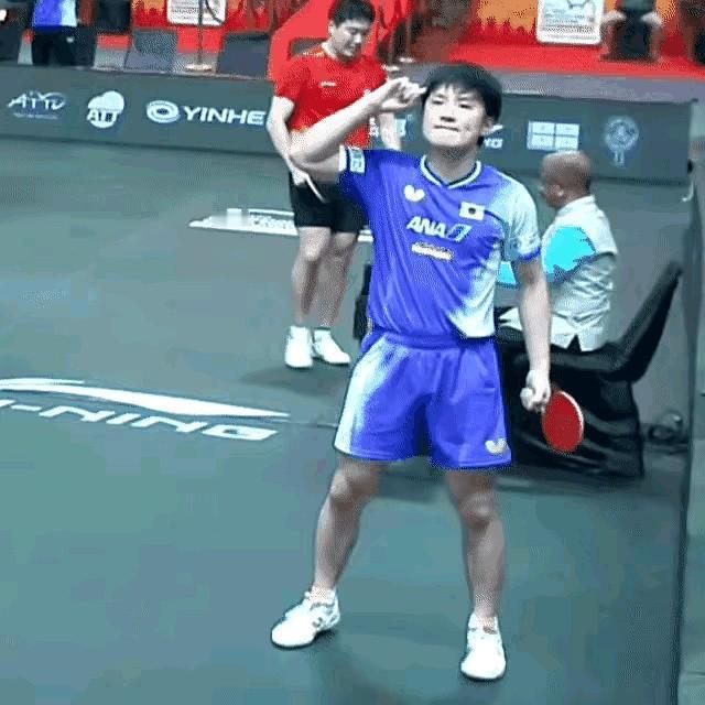 张本智和第一盘赢了梁靖崑后，嚣张的用手指向中国队的样子，太想抽他了。希望他今后