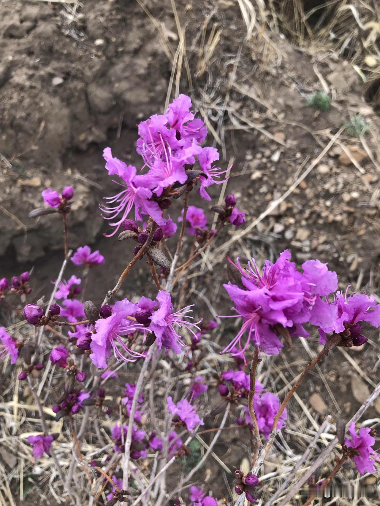 养老金上调！每月多20块，够不够用老人心里最清楚全国养老金涨了！每月多20块