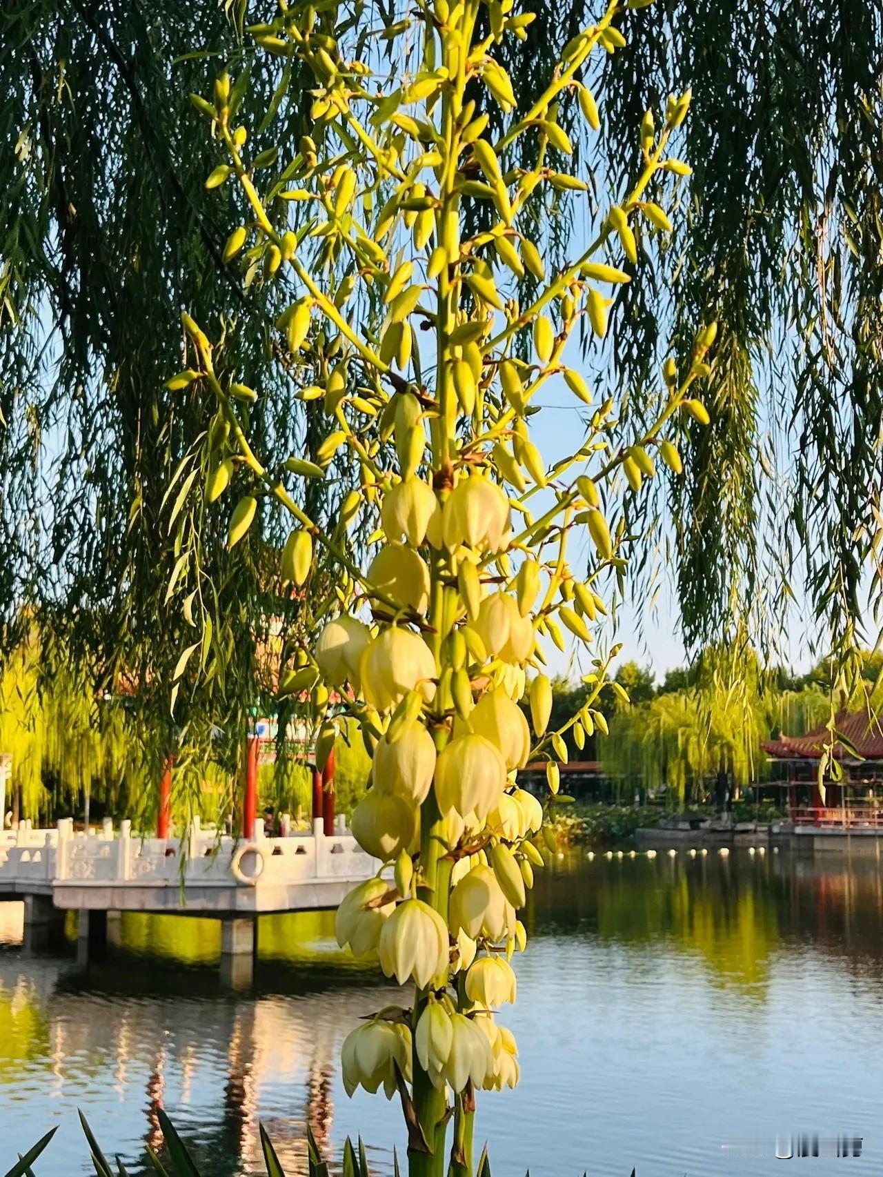 父债子还，真的过时了吗？一男的欠了200万的债务，结果突然得心梗走了。债