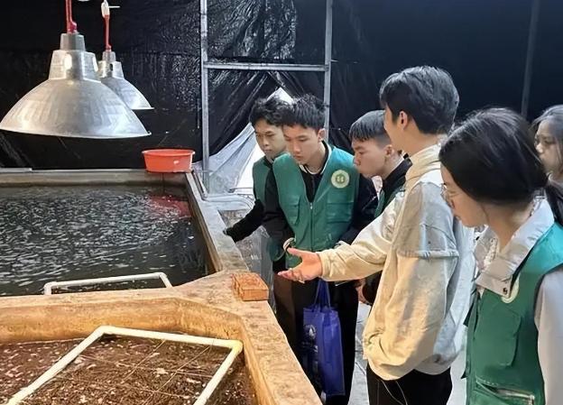 央视曝光的水产活鱼麻药骗局，让人心惊不已，可更让人后怕的是，商贩用来麻醉鱼的药剂