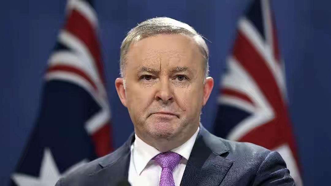 全面反华？阿尔巴尼斯通告全球，强逼中方卖港口，澳审查结果出炉中企合法租下达尔