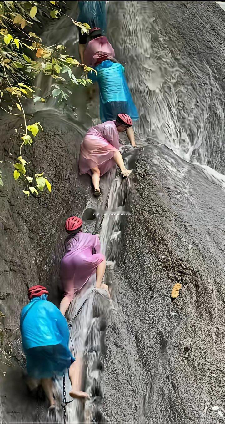 这些人是吃的太饱，还是嫌命太长是该夸她们勇敢，还是骂她们发疯