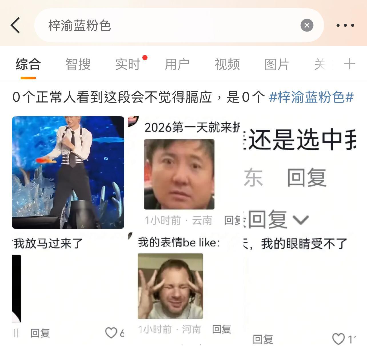 ？？？梓渝蓝粉色