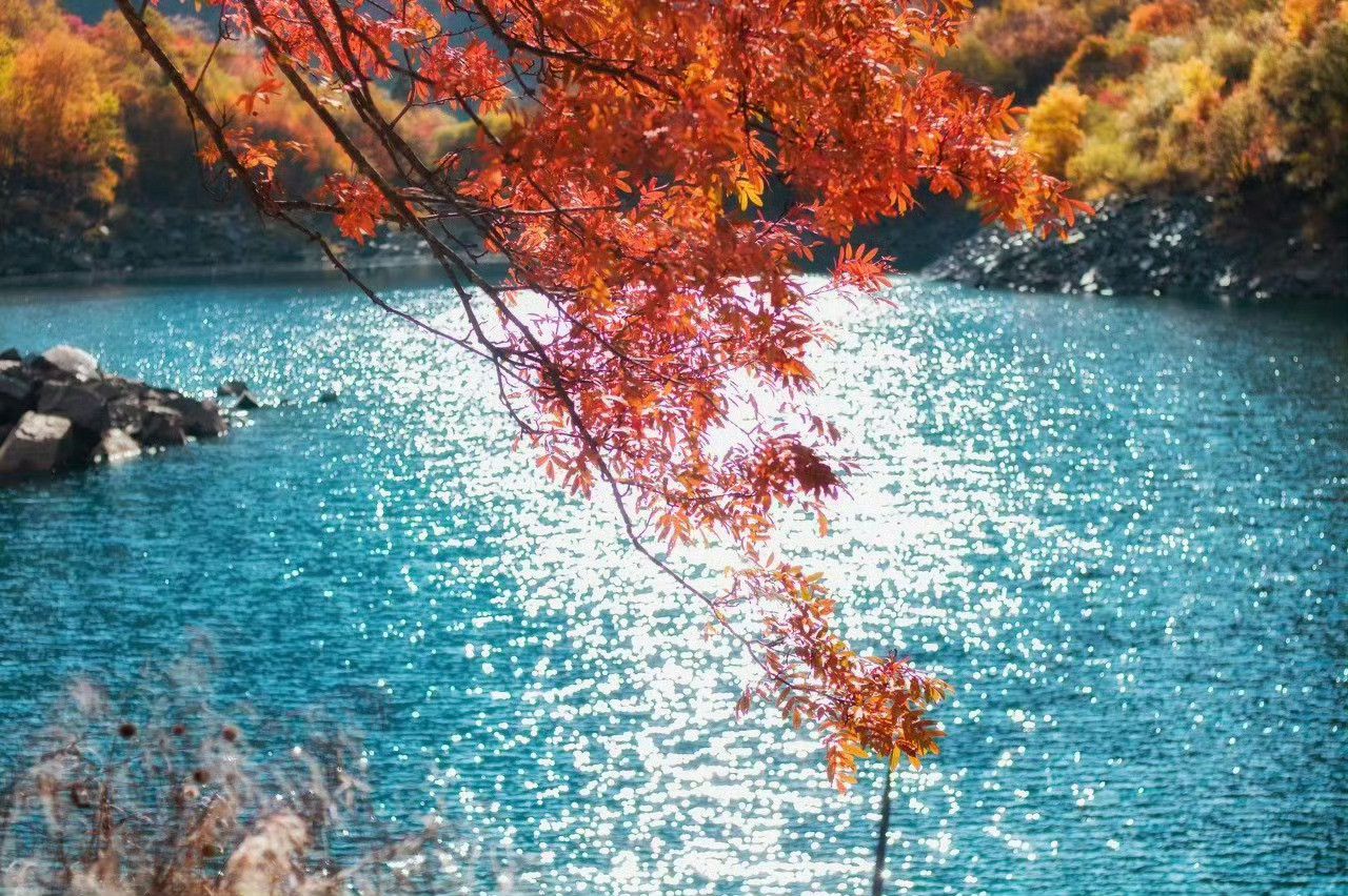 松坪沟，一到秋天，这里就红叶似火，令人陶醉。坐标：四川省阿坝藏族羌族自治州茂县，