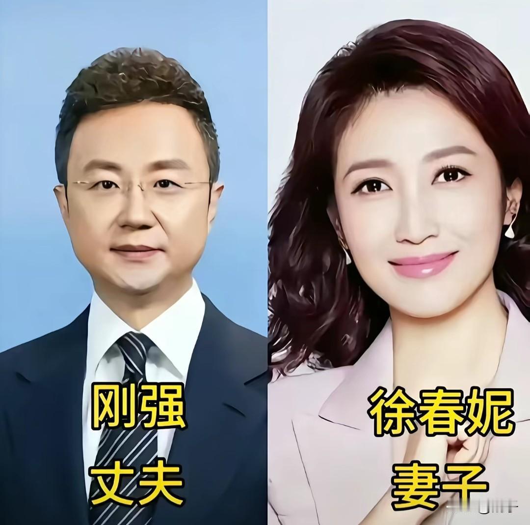 央视主持人的另一半：同行默契，圈外优秀，全是势均力敌的爱情荧幕上他们是观众