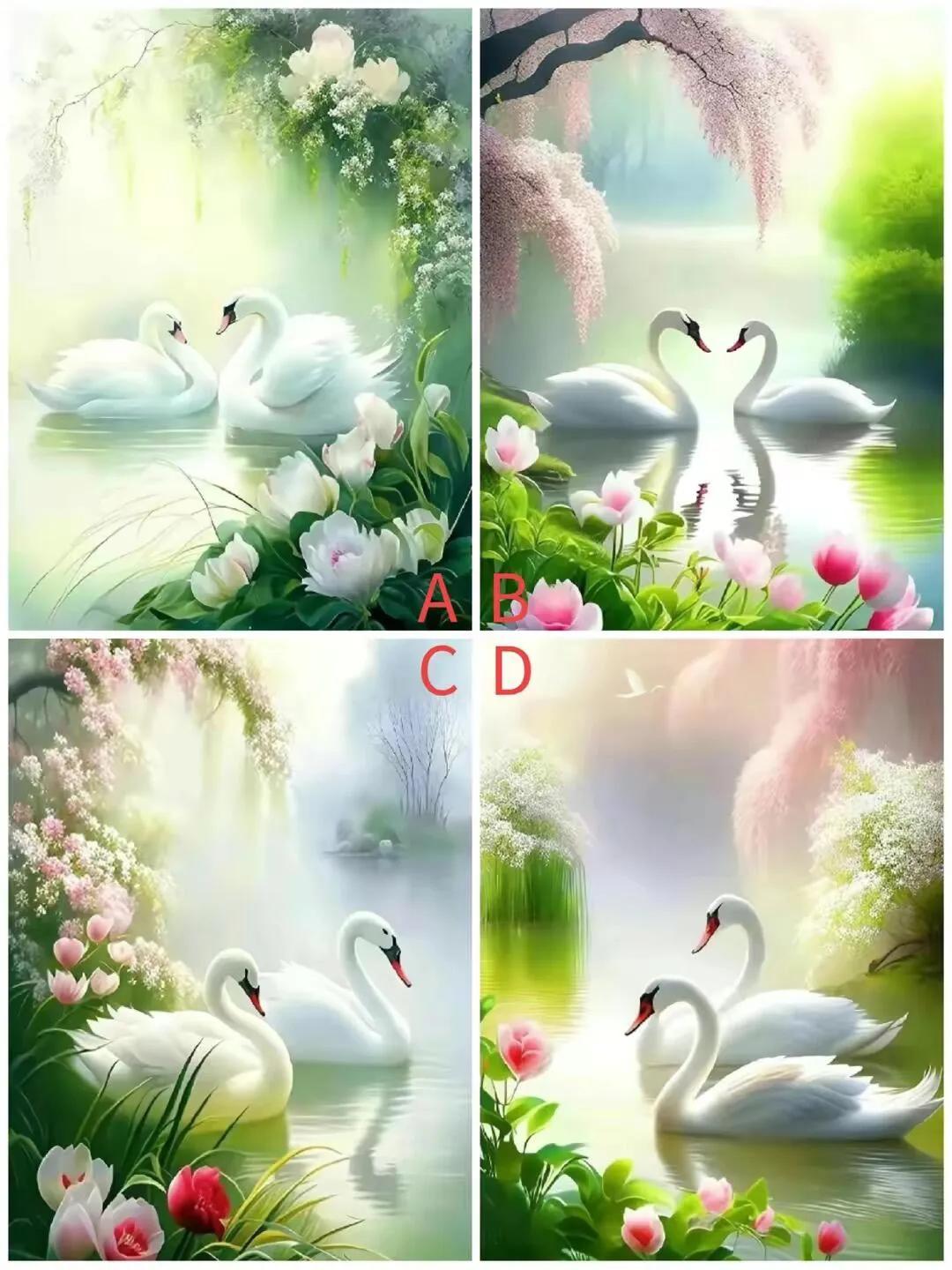 测测看这辈子牵挂你的是谁？？选择你觉得最好看的一对天鹅看看这辈子谁最牵挂你？