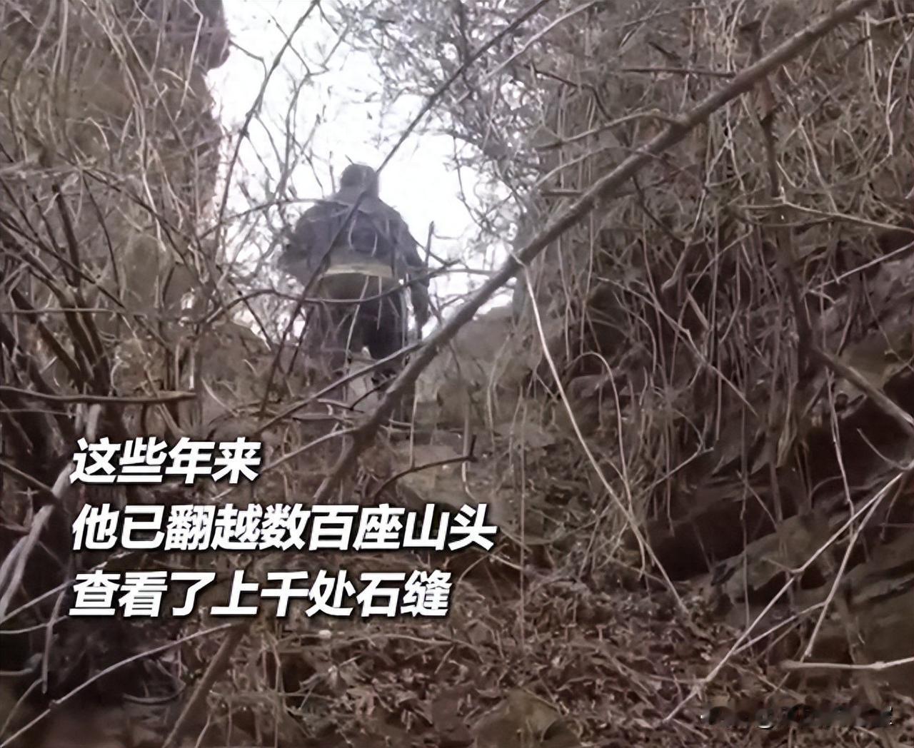 山西大叔进山捡尸13年，妻子骂不务正业，却获央视力挺，内情感人！🤫在山西