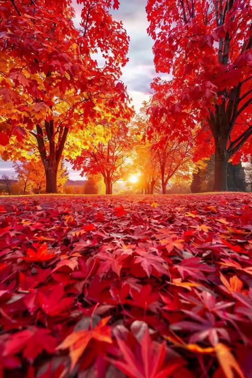 中小学“减负”之难，真可谓难于上青天！症结究竟在哪里？其一，难在教材本身。根