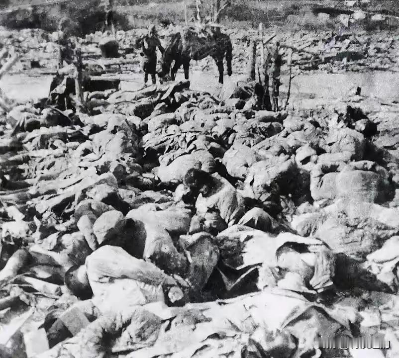 蒋介石的无能，唐生智的庸碌，混乱的指挥，日寇的凶残，造成了南京的大悲剧。谁