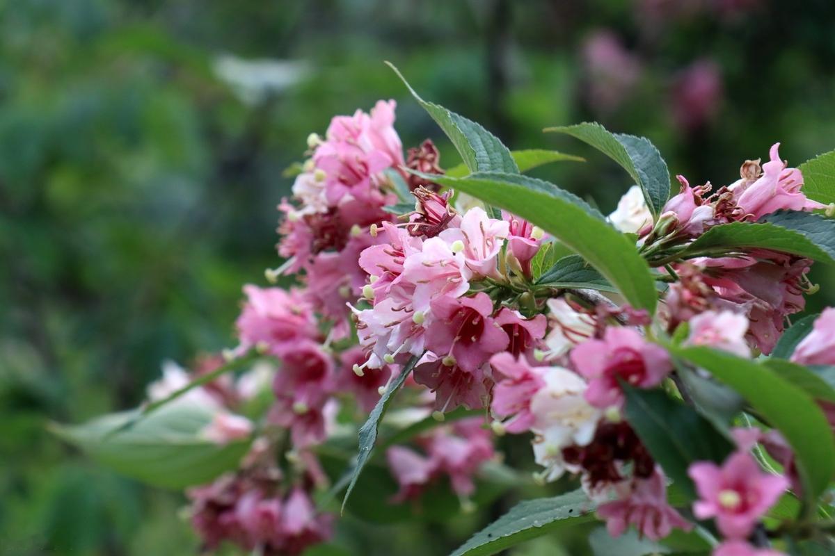 人生要耐得住寂寞，坚守内心的信念，用淡然的心看着这个世界，要相信，就算是棵小草，