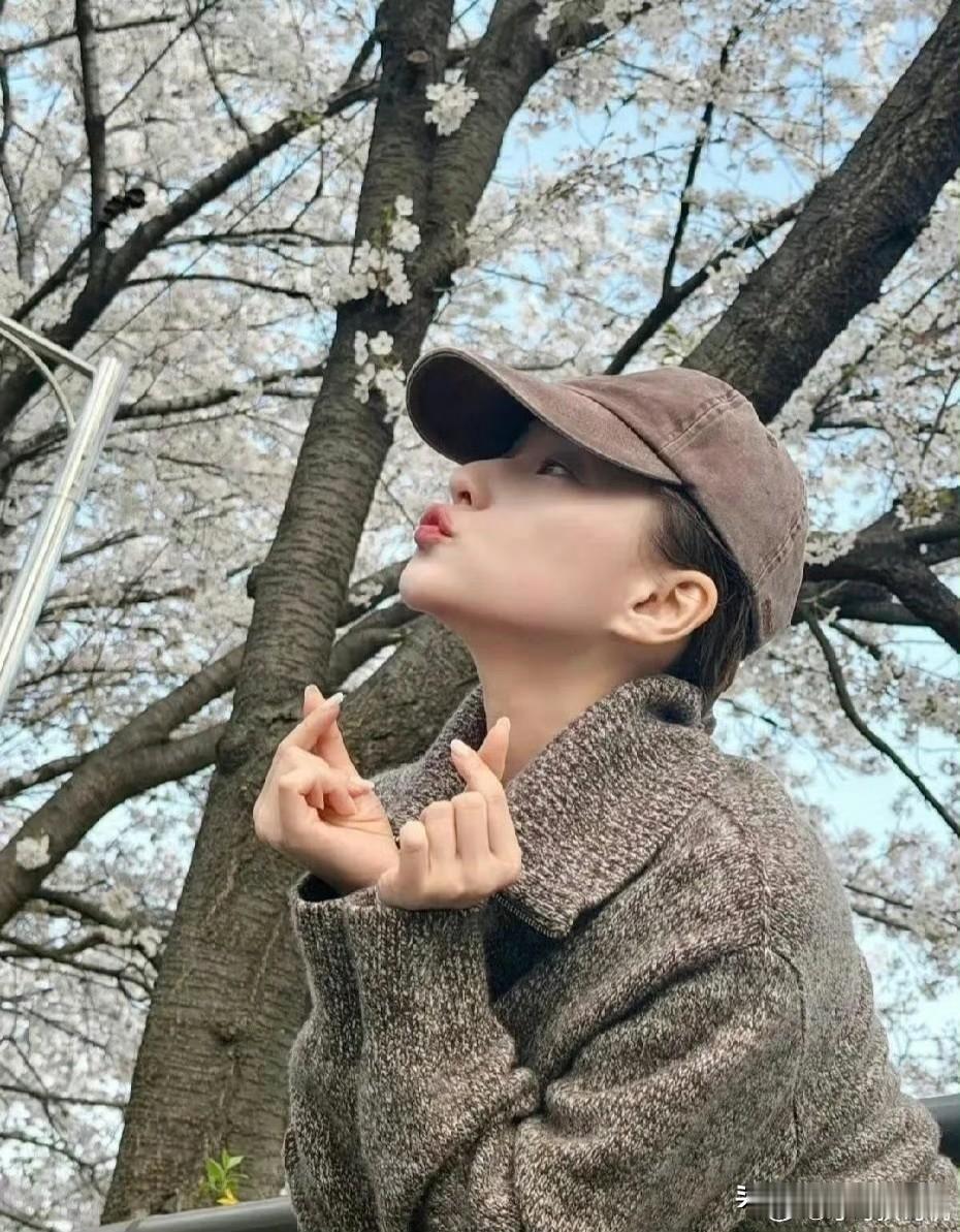 35岁的何超莲你可以不看家世，也可以不看地位，但是你真的要趁年轻把孩子生了。