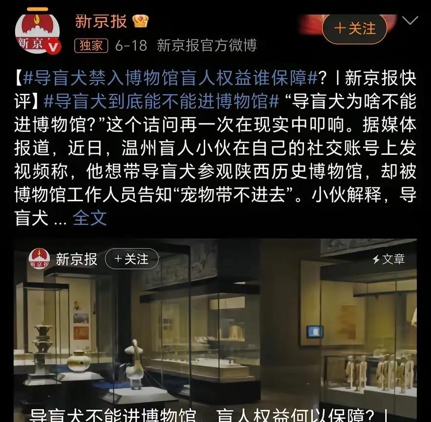 新京报又出来搅浑水了，把导盲犬进博物馆上升到人权。最近，盲人带导盲犬参观陕西历