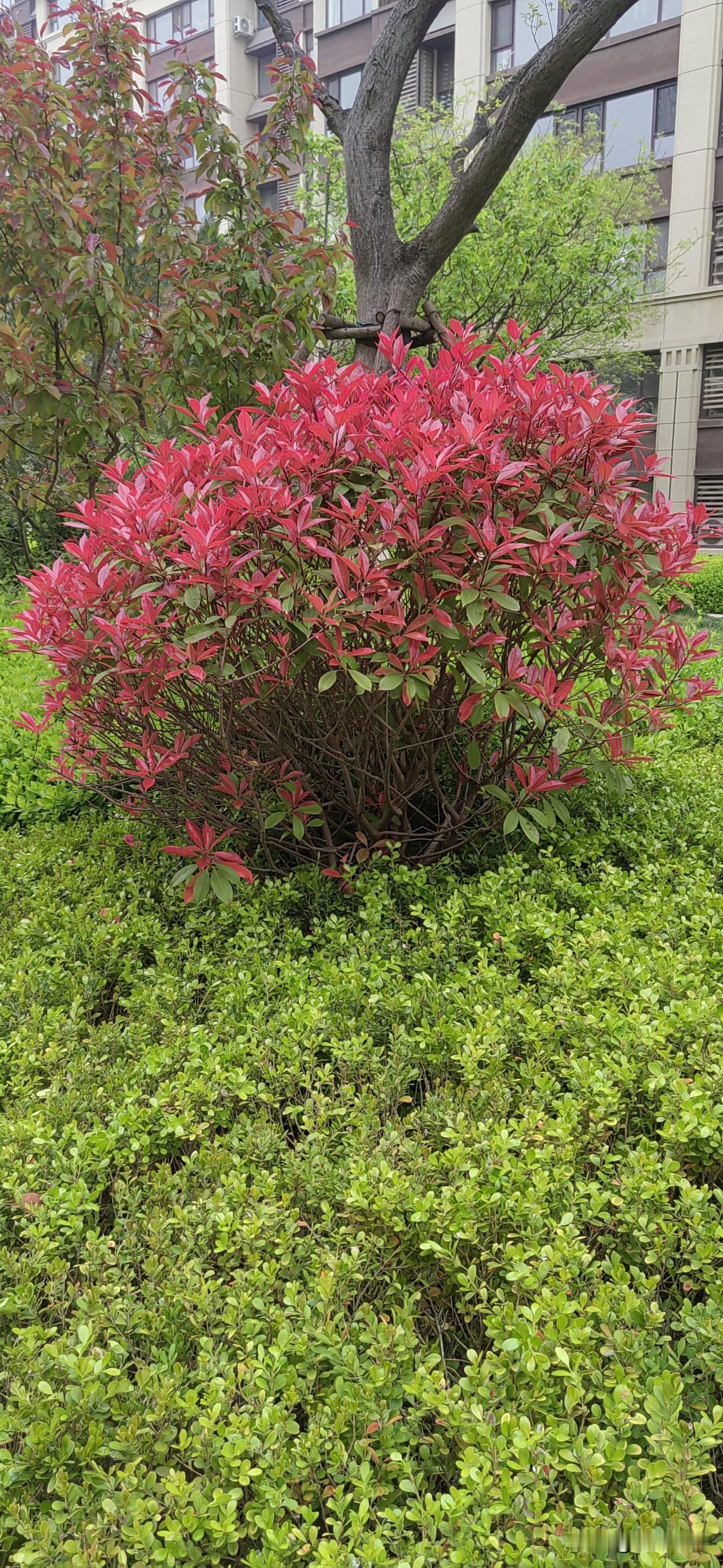 你家孩子中了几条？中3条以上，说明你爱对了养孩子这件事，从来不看家境多富裕