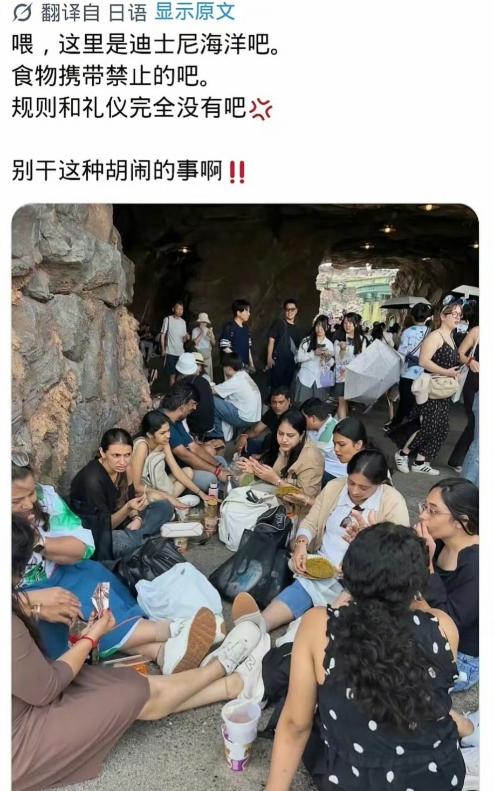 印度人太牛了，直接把日本人整破防！近日，有日本网友吐槽：日本东京迪士尼禁止个人携