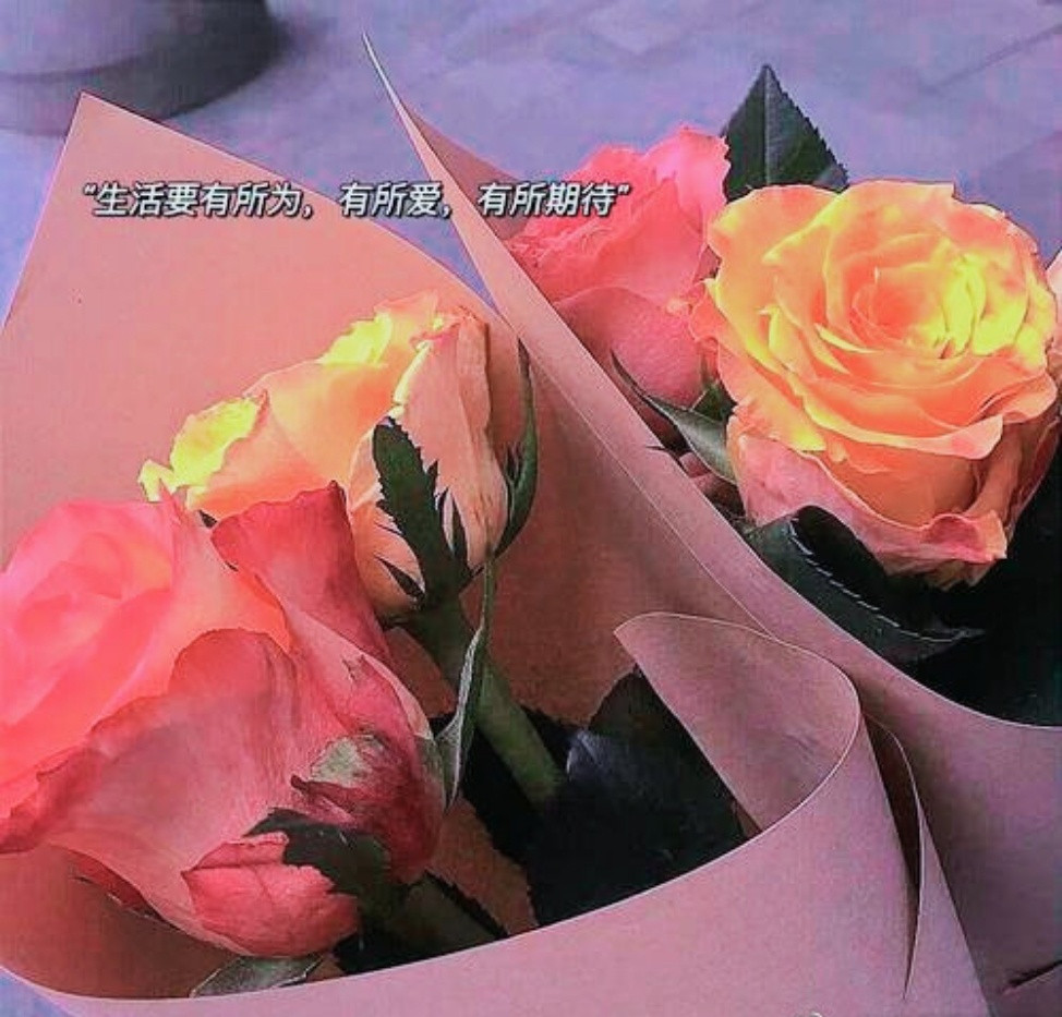 女人这一生，无论怎么选择，都抵不过命运的安排，再贤惠，再善良，再持家，嫁不到好男