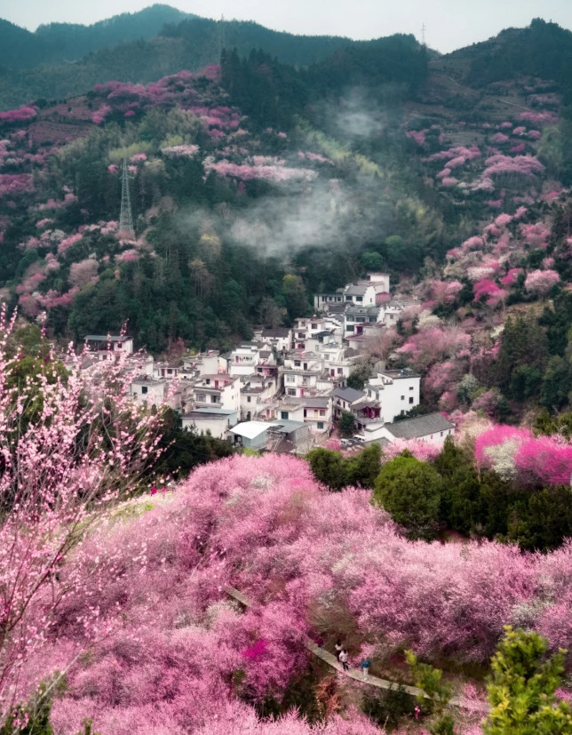 原来陶渊明笔下的《桃花源记》是真实存在的！