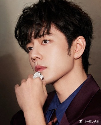 哦莫，肖战手上这个宝诗龙Animaux系列Cheval高级珠宝马头戒指好漂亮！肖