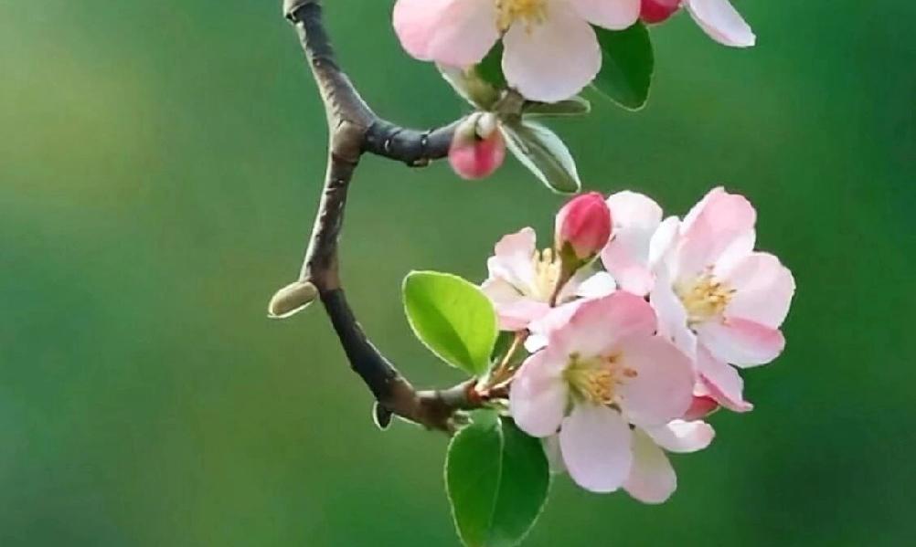 外甥还没结婚，舅舅怎么就说外甥过河拆桥呢，外甥有困难找舅舅很正常呀，这种情况下舅