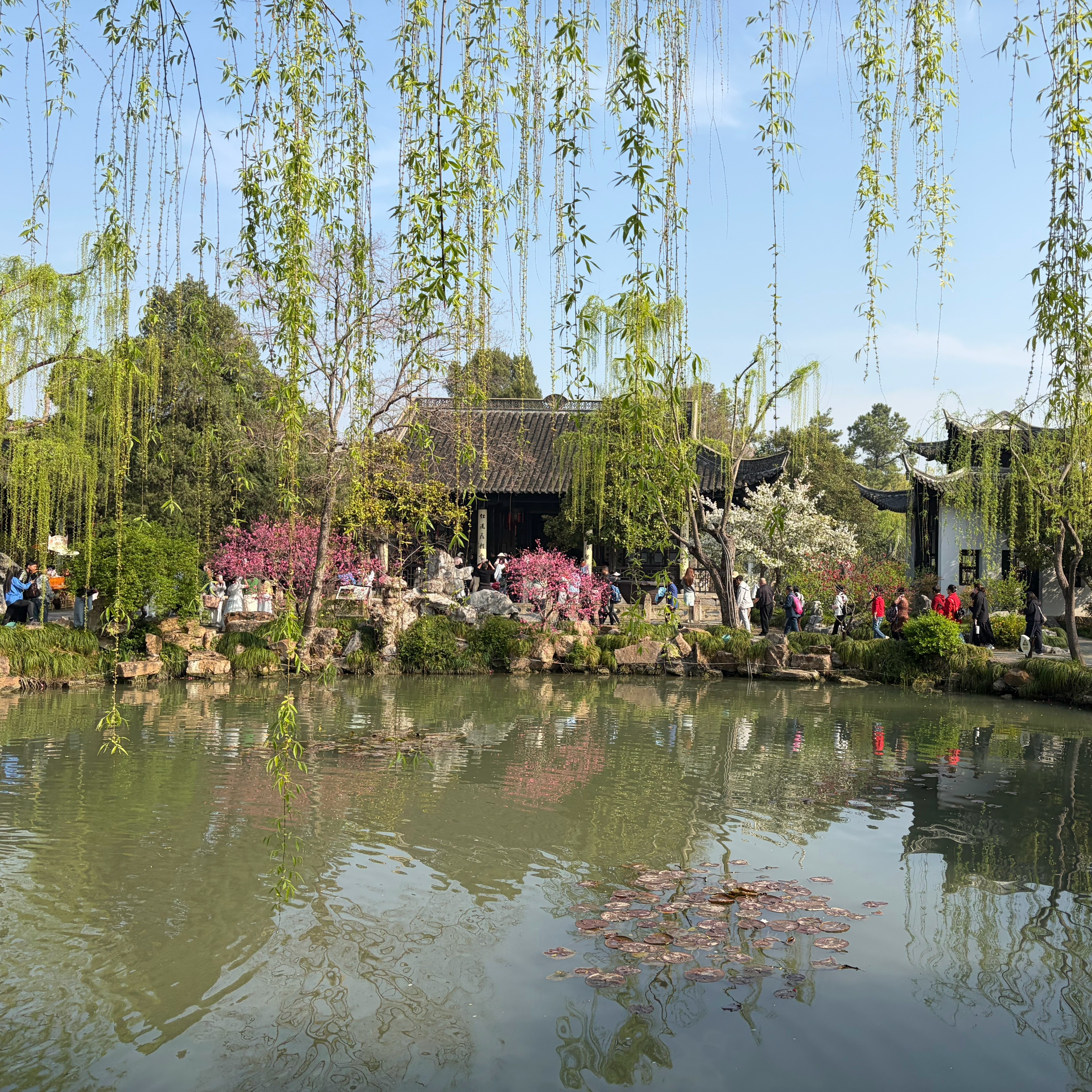 想错峰但错了个寂寞，好在景色没话说～扬州·瘦西湖景区