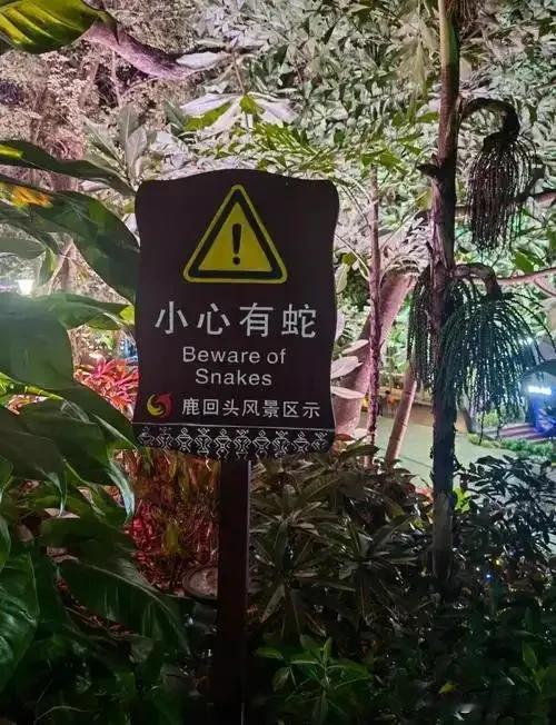 被蛇咬不可怕，可怕的是后续动作一定要有！不管被什么蛇咬了，管他是有毒的还是没毒