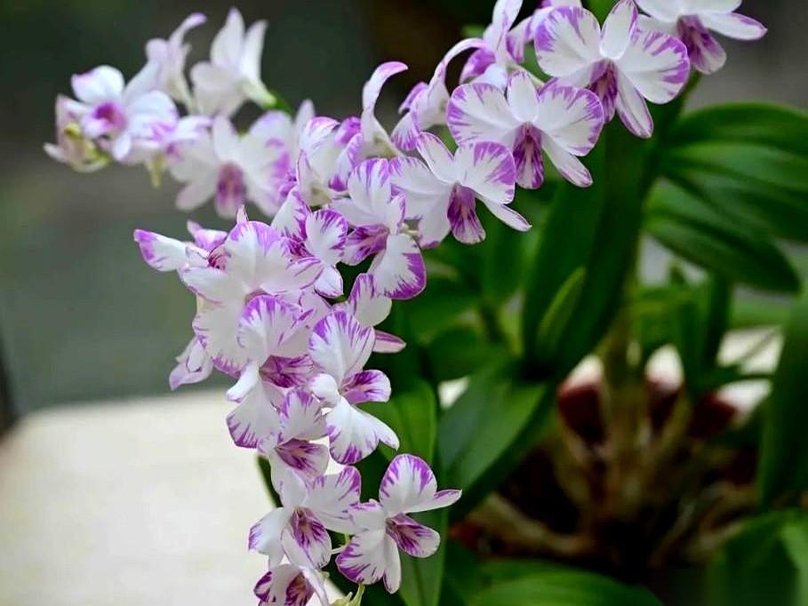 我跟你讲个事儿，真是绝了。我一朋友，她老公前两天半夜喝酒，人没了。脑淤血，走得