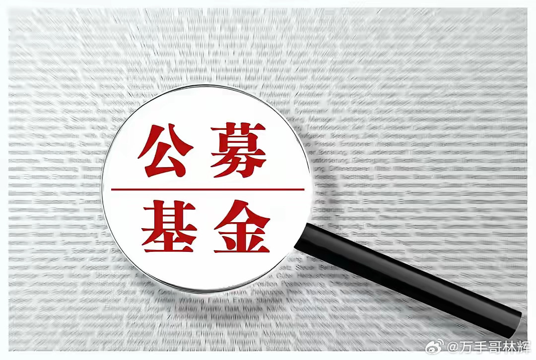 为什么，很多人不适合投资基金，但他们认为，很适合，投资基金会盈利。不管，投资哪个