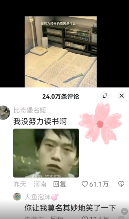 我没努力读书啊