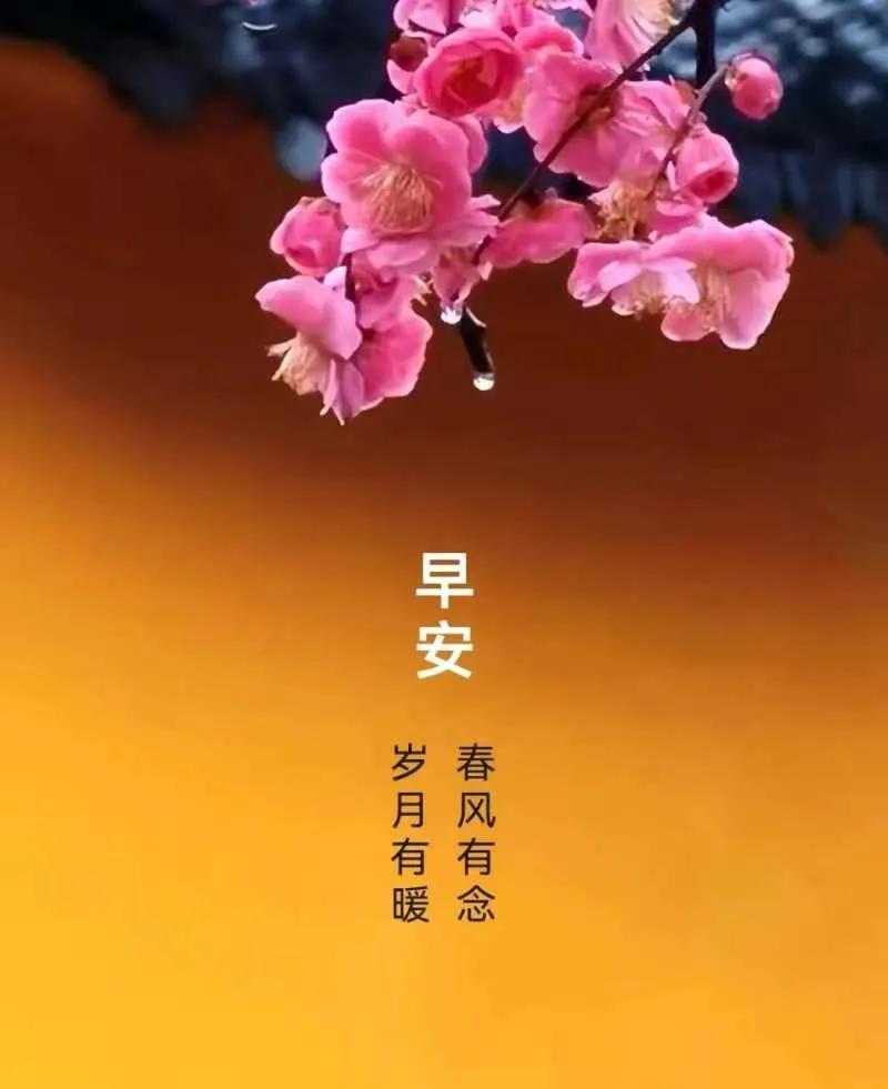緣分是金，友誼似玉；知心長久，總是牽掛；保重身體，吉祥永伴。早上好！[祈祷