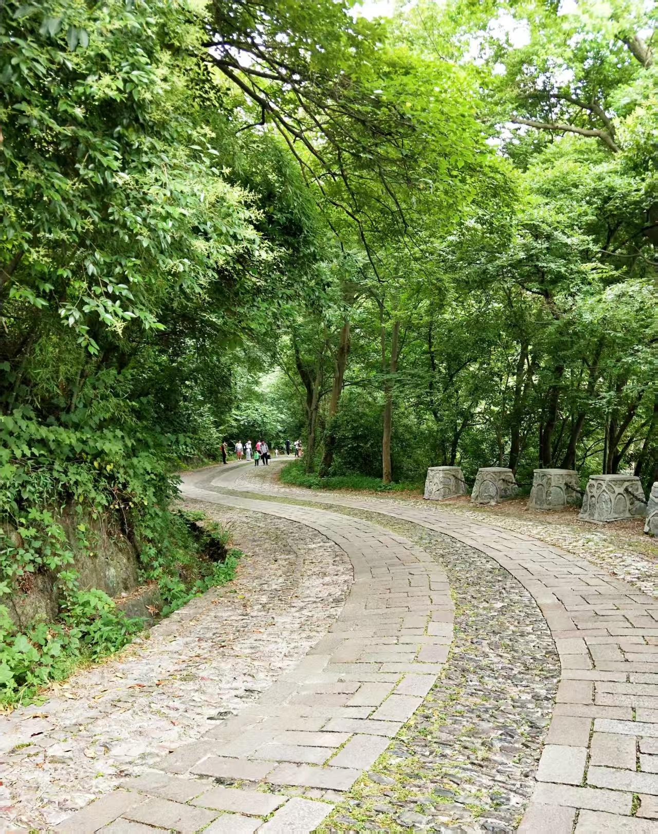 又一个千万人口城市要来了，那必定是南京。南京现在常住人口为963万。离千万人口