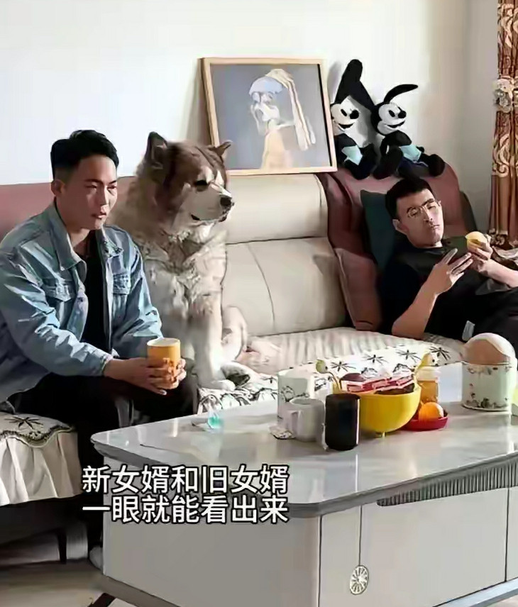 老女婿新女婿一眼就看出来了