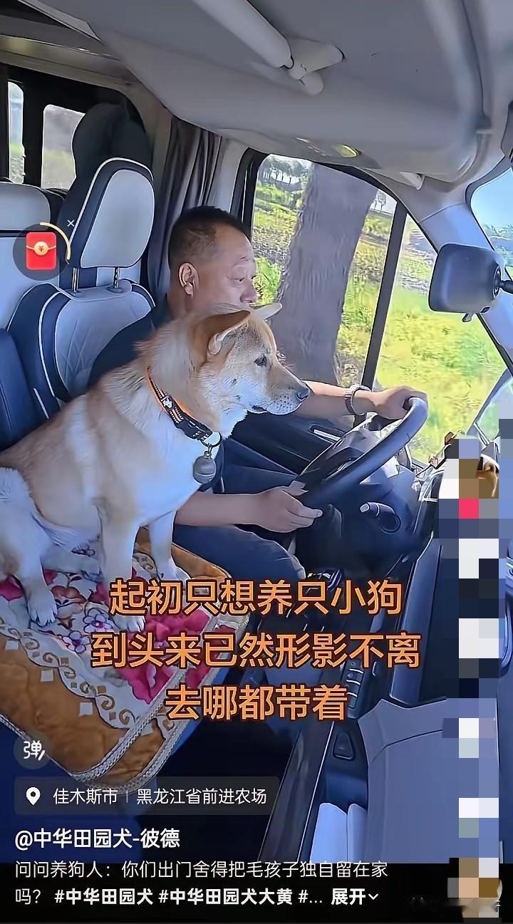 温馨的一幕！黑龙江的一个货车司机吐槽，自己当初就是想养只小狗有个陪伴，万万没想到