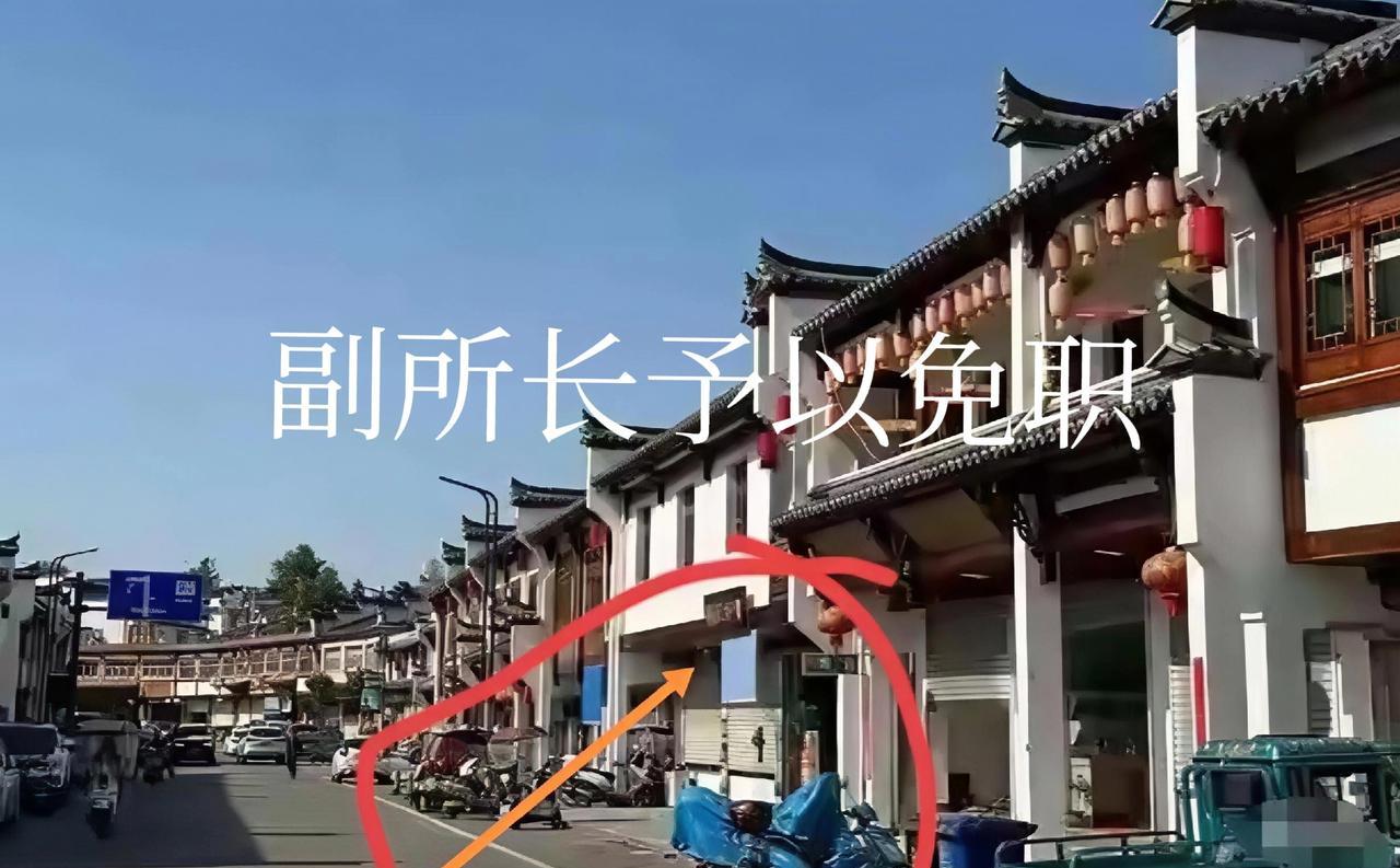 游客桃花潭被围殴后续来了：三人拘留+赔9000+副所长予以免职土菜馆儿，一家三