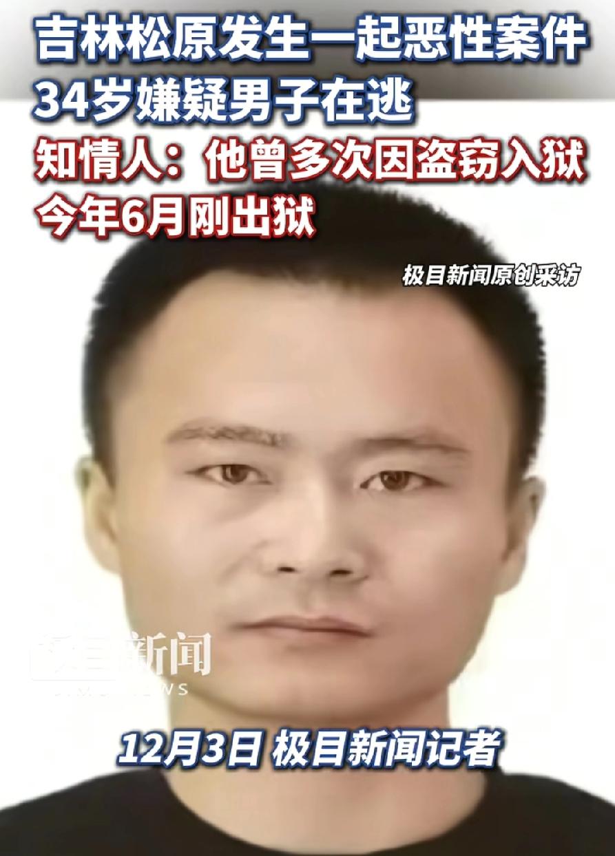 长岭县通缉犯姚远，3次盗窃犯罪记录：1、2015年与刘某甲盗窃1600元，被判