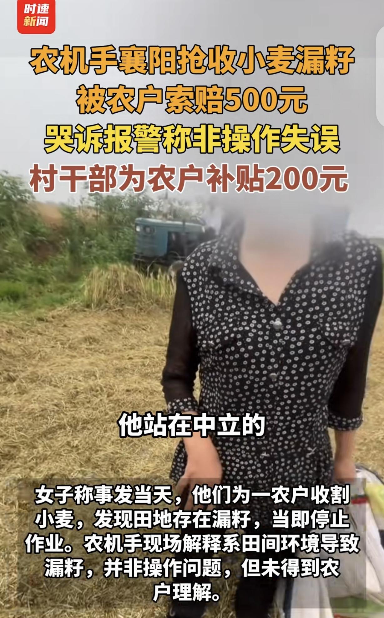 湖北襄阳，一名大妈雇佣河南夫妻为自家麦田抢收麦子，双方口头约定4亩地工钱4
