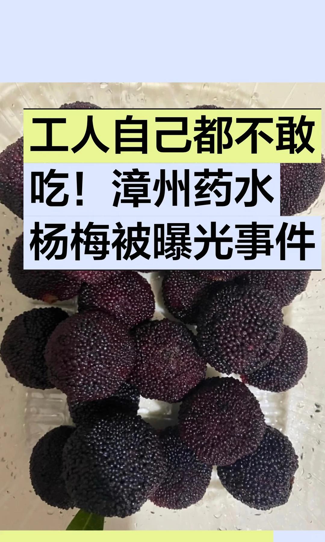 福建漳州毒杨梅风波，与其说是一场食品安全危机，不如说是地域公共品牌的一场“信任崩