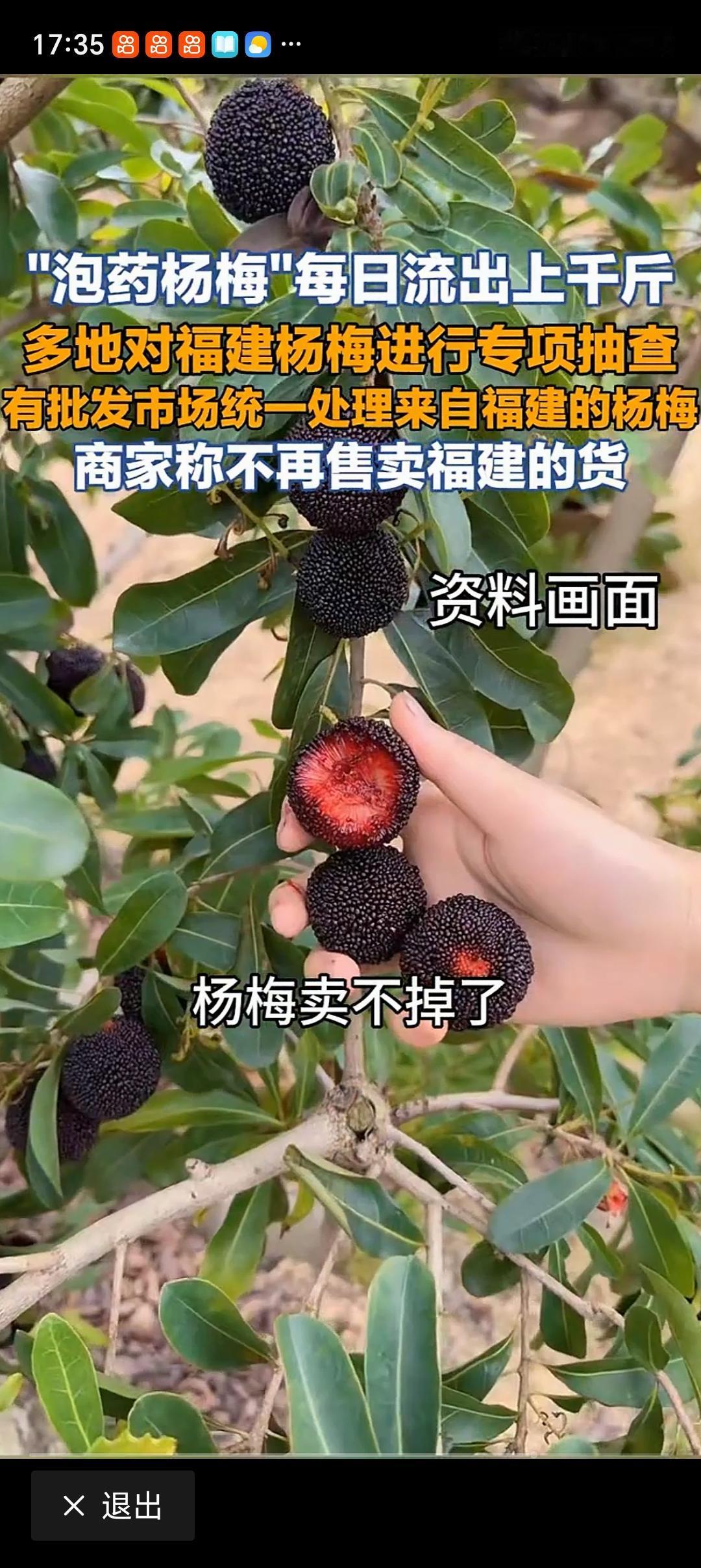 多地对福建杨梅进行专项抽查多地对福建杨梅进行专项抽查，这事闹得挺大。原来，福建
